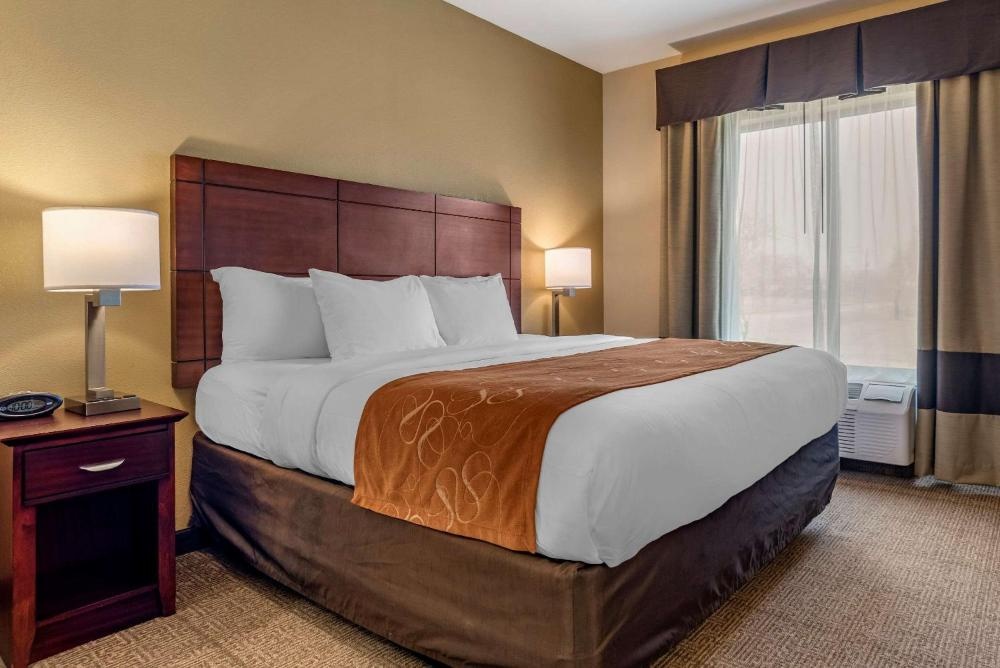 Comfort Suites Airport South Image 14