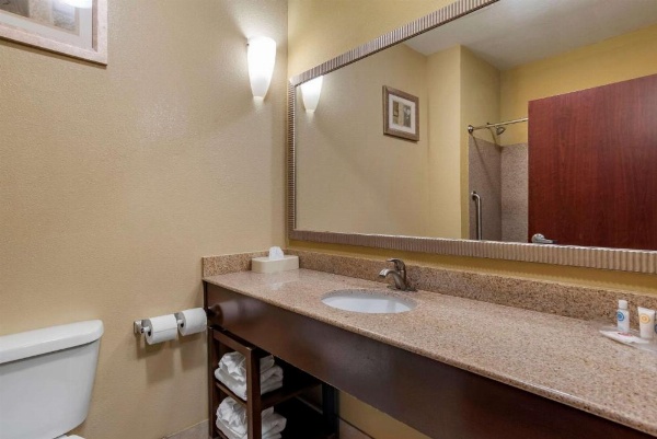 Comfort Suites Airport South image 34