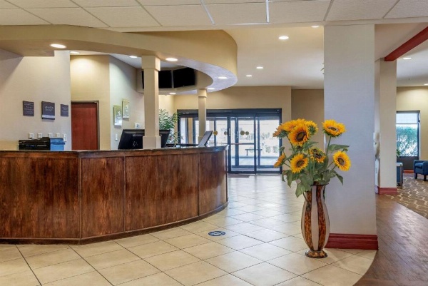 Comfort Suites Airport South image 8